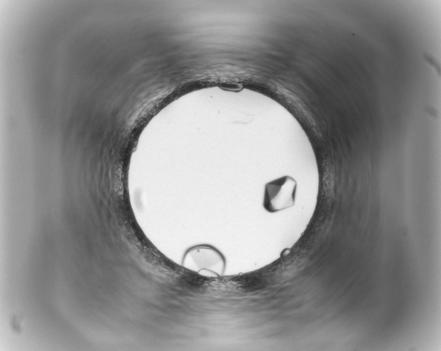 X0000100230403200806271755