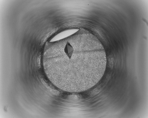 X0000100230404200806271755