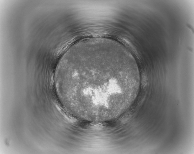 X0000100230405200806271755