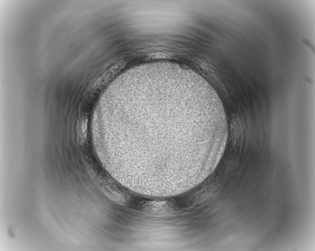 X0000100230406200806271754