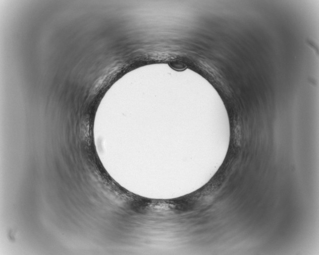X0000100230407200806271754