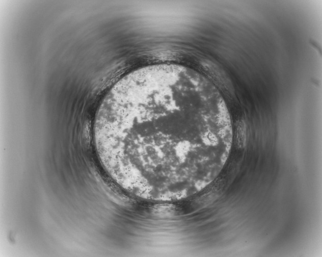 X0000100230410200806271754