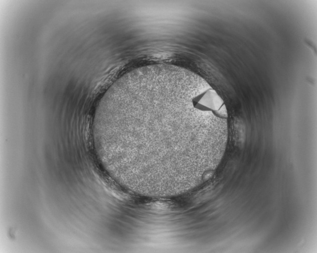 X0000100230412200806271754