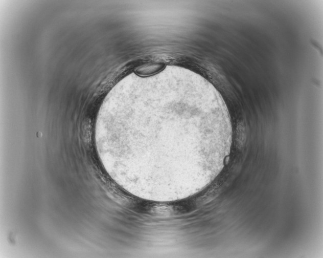 X0000100230413200806271754