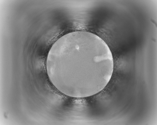 X0000100230415200806271754