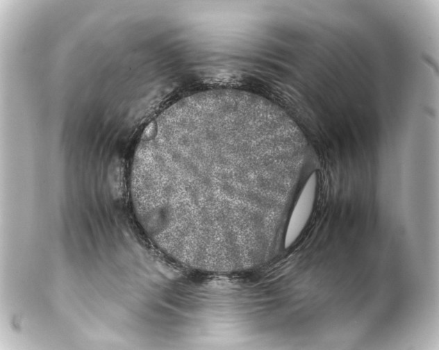 X0000100230416200806271754