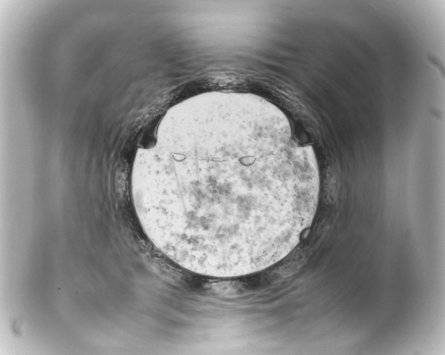 X0000100230417200806271754