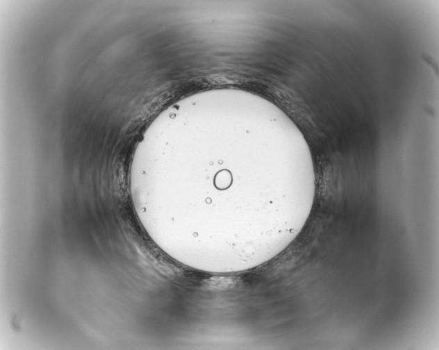 X0000100230418200806271754
