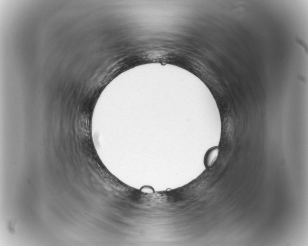 X0000100230421200806271754