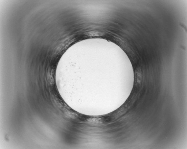 X0000100230422200806271754
