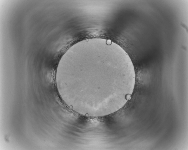 X0000100230423200806271754