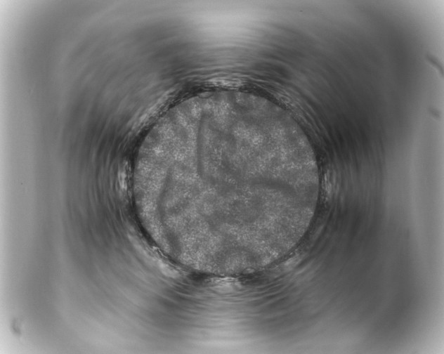 X0000100230424200806271754