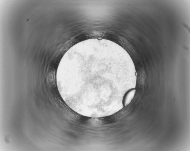 X0000100230425200806271754