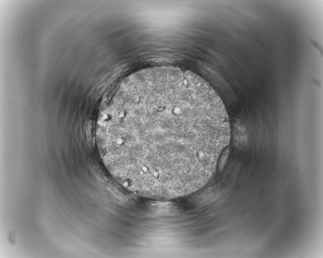 X0000100230428200806271754