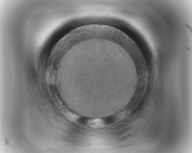 X0000100230431200806271754