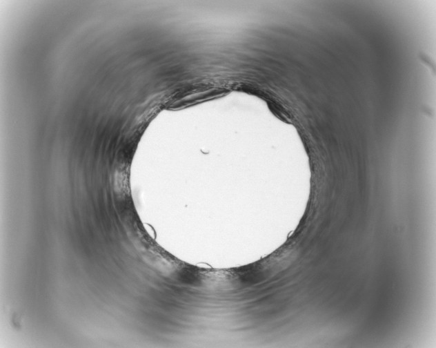 X0000100230432200806271754
