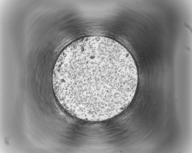 X0000100230433200806271753