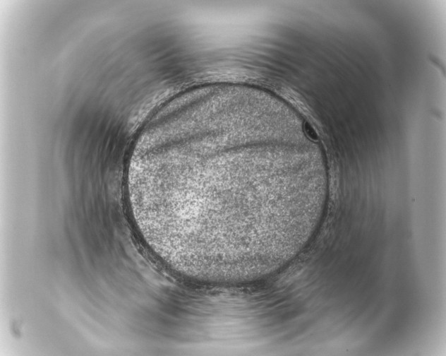 X0000100230434200806271753