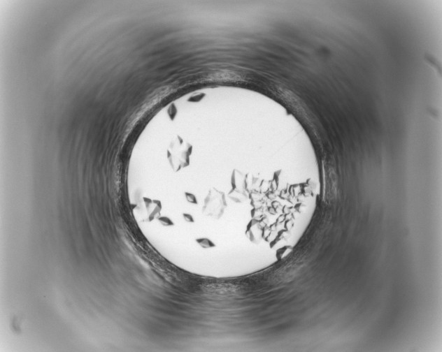 X0000100230435200806271753