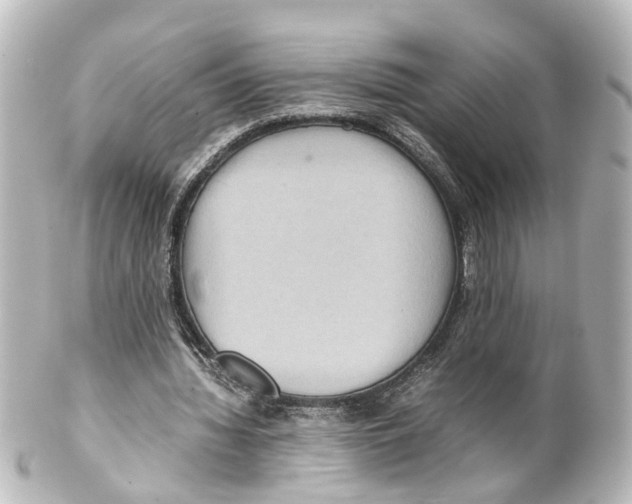 X0000100230436200806271753