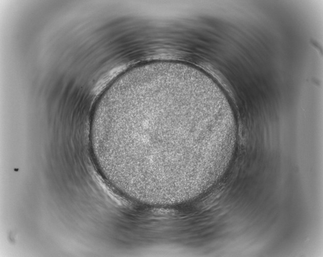 X0000100230437200806271754