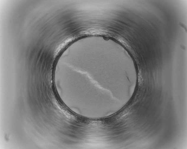 X0000100230438200806271754