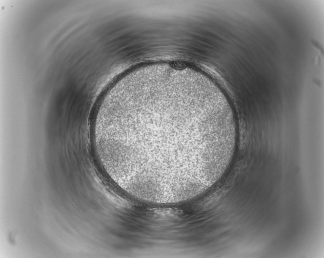 X0000100230439200806271754