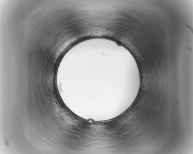 X0000100230440200806271754
