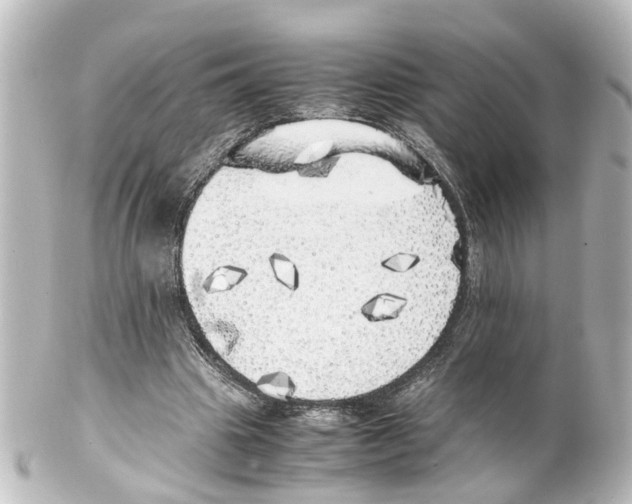 X0000100230441200806271754