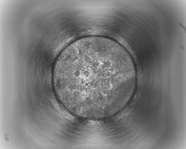 X0000100230442200806271754