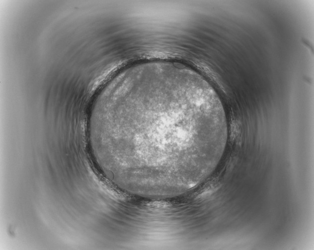 X0000100230444200806271754