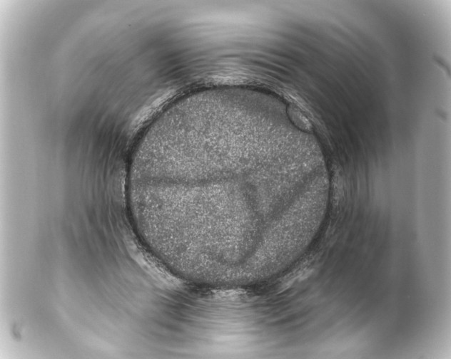 X0000100230446200806271754