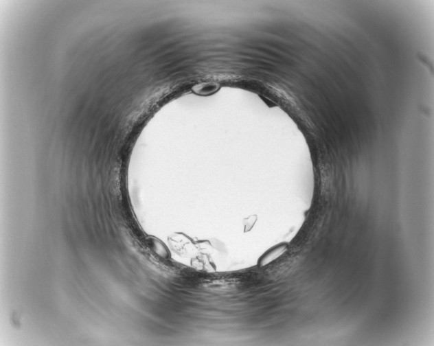 X0000100230447200806271754
