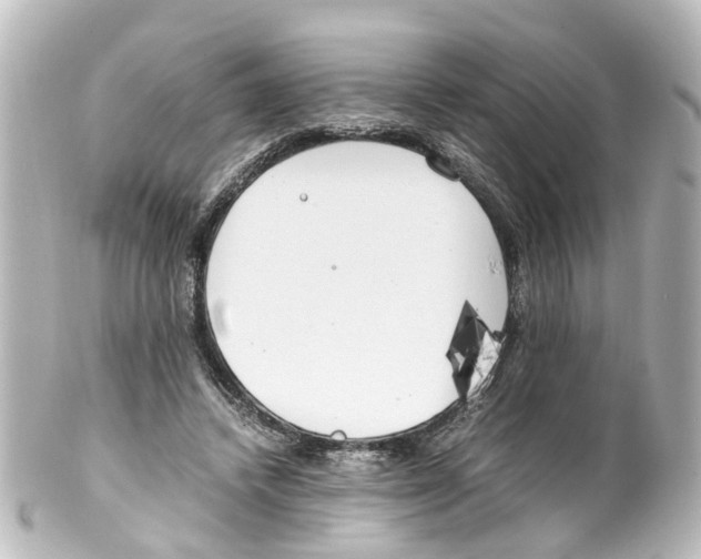 X0000100230448200806271754