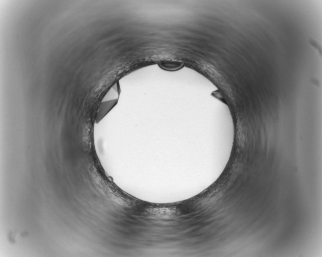X0000100230449200806271754