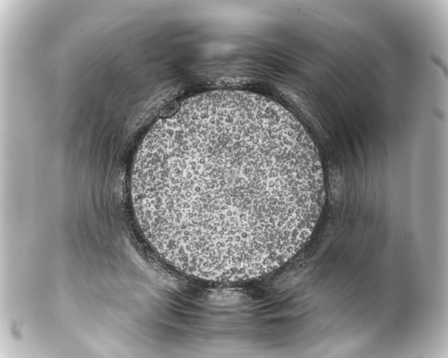 X0000100230451200806271754
