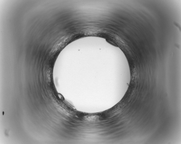 X0000100230452200806271754