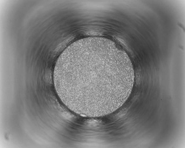 X0000100230453200806271754