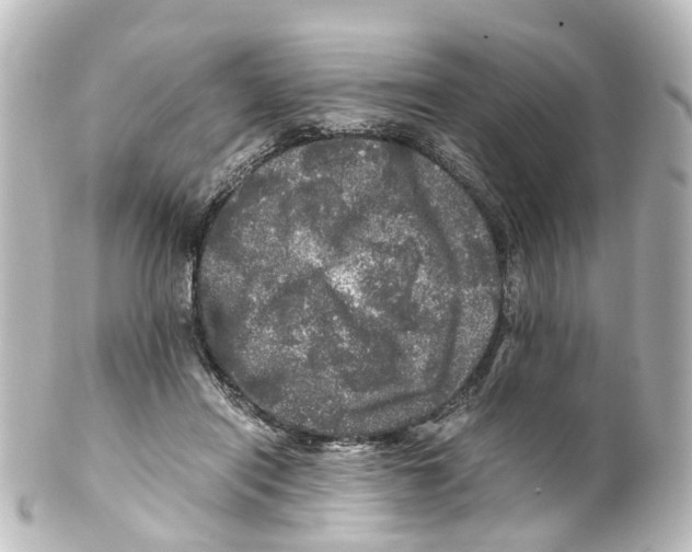 X0000100230454200806271754