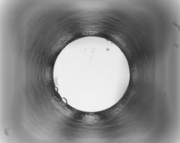 X0000100230455200806271754