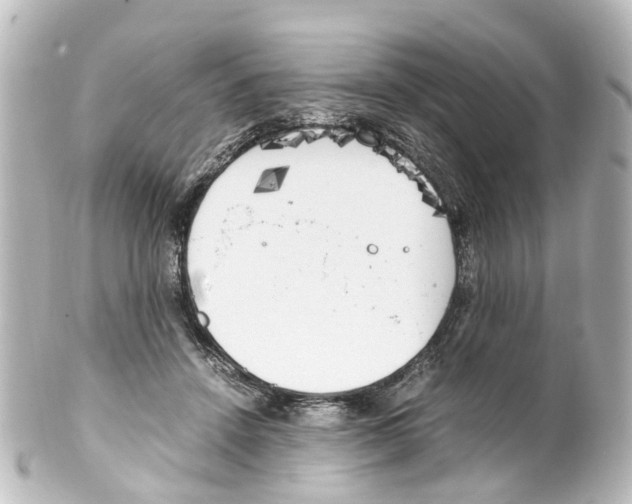 X0000100230456200806271754