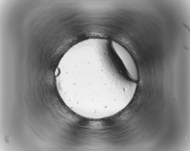 X0000100230457200806271754
