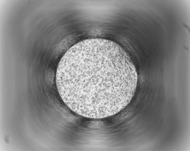X0000100230458200806271754