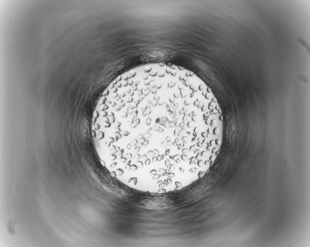 X0000100230459200806271754