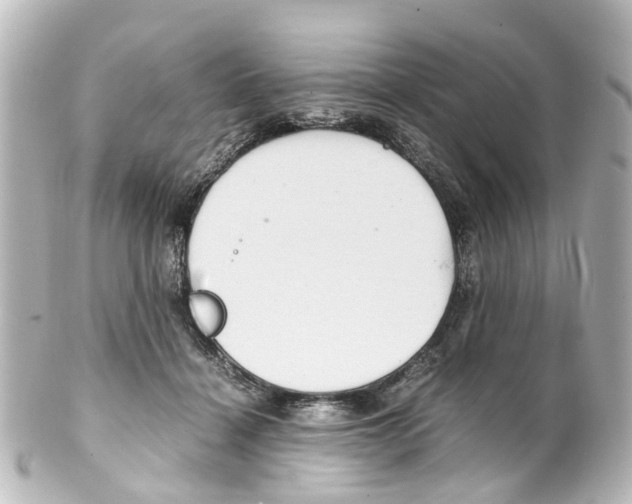 X0000100230460200806271754