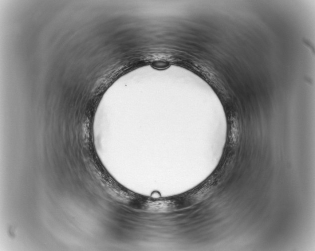 X0000100230461200806271754