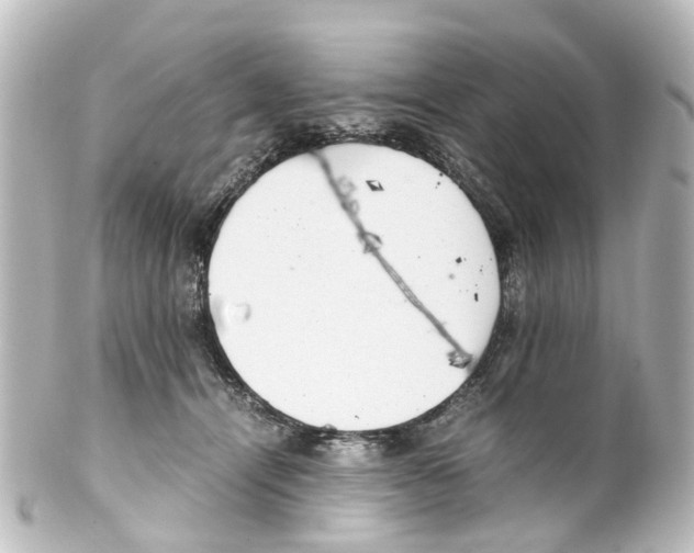 X0000100230464200806271754