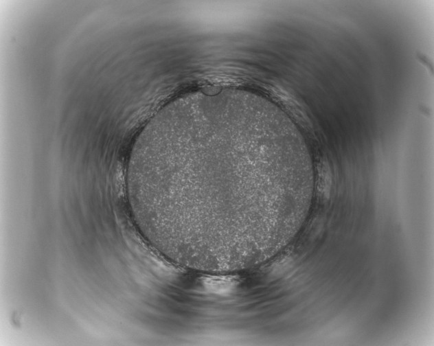 X0000100230465200806271754