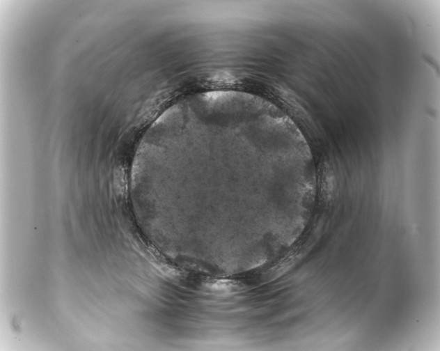 X0000100230467200806271754