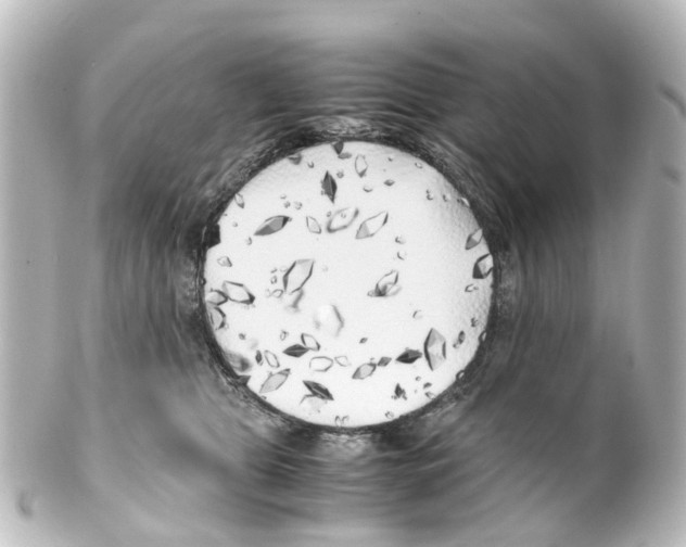 X0000100230469200806271754